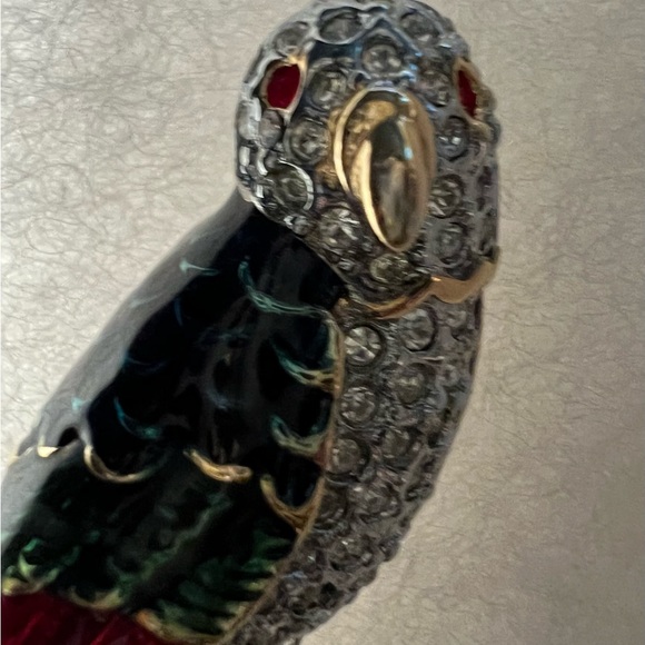 Pin parakeet - Picture 4 of 4